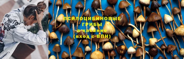 меф Алзамай