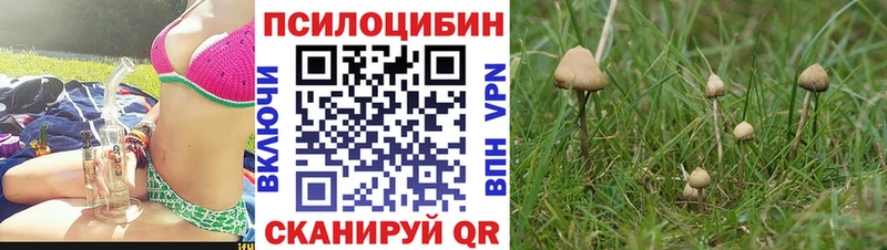 Галлюциногенные грибы мицелий  omg ССЫЛКА  Конаково 